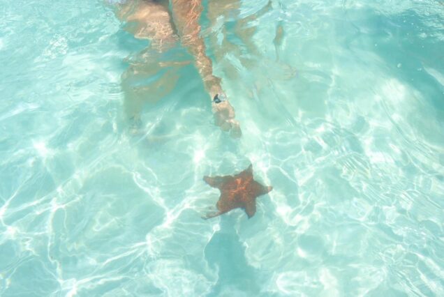 VIP Saona (4 BEACHES)